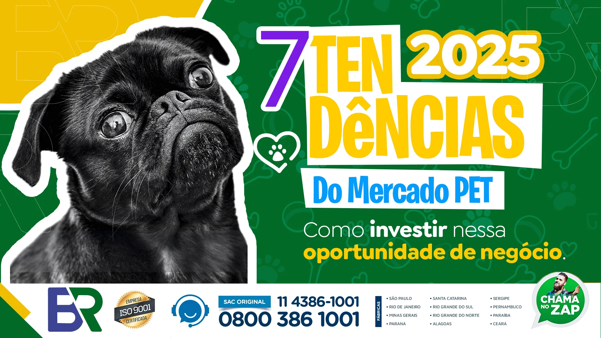 7 tendências do mercado pet 2025: como investir nessa oportunidade de negócio